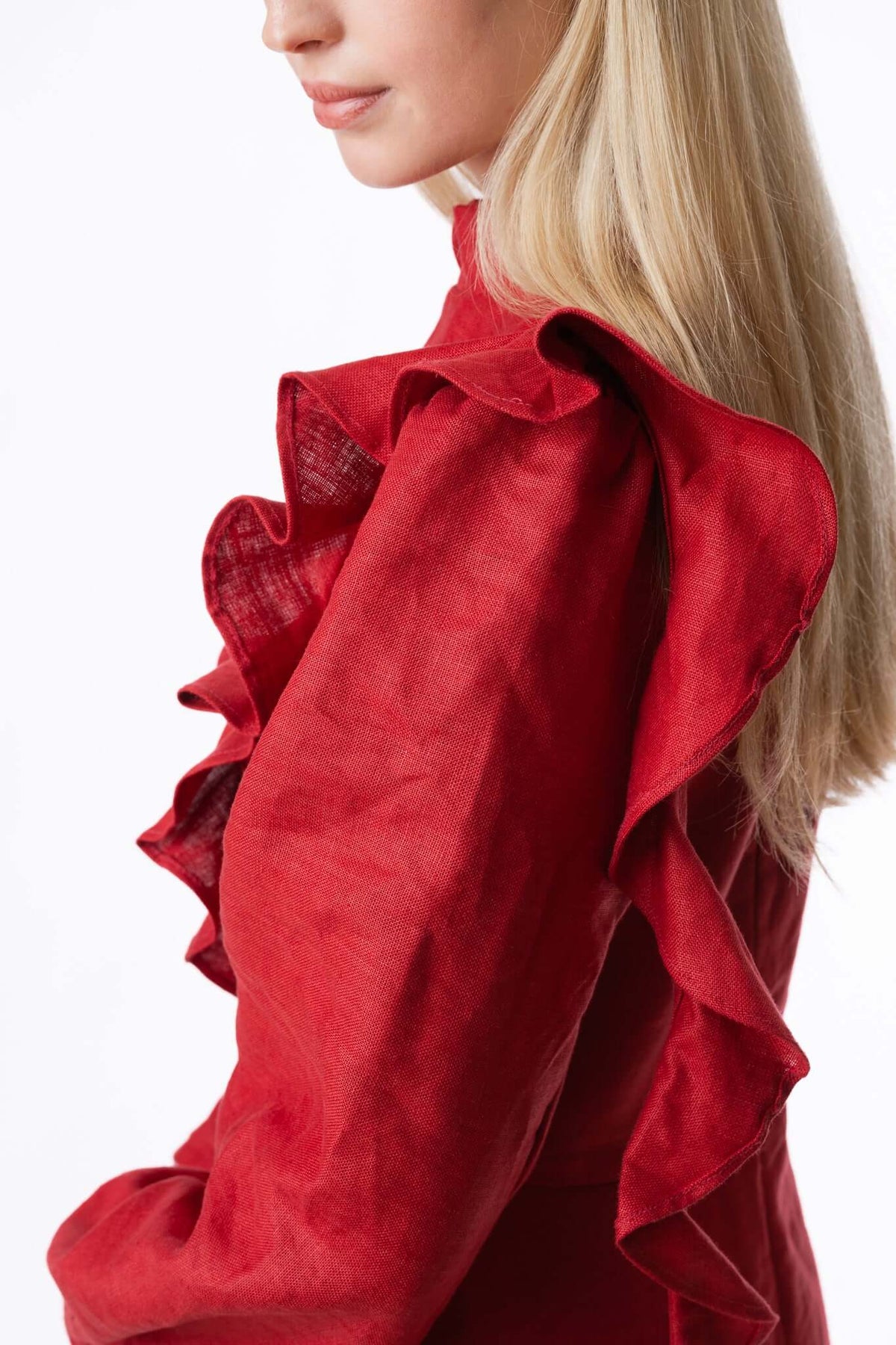 THE RED ROSE DRESS