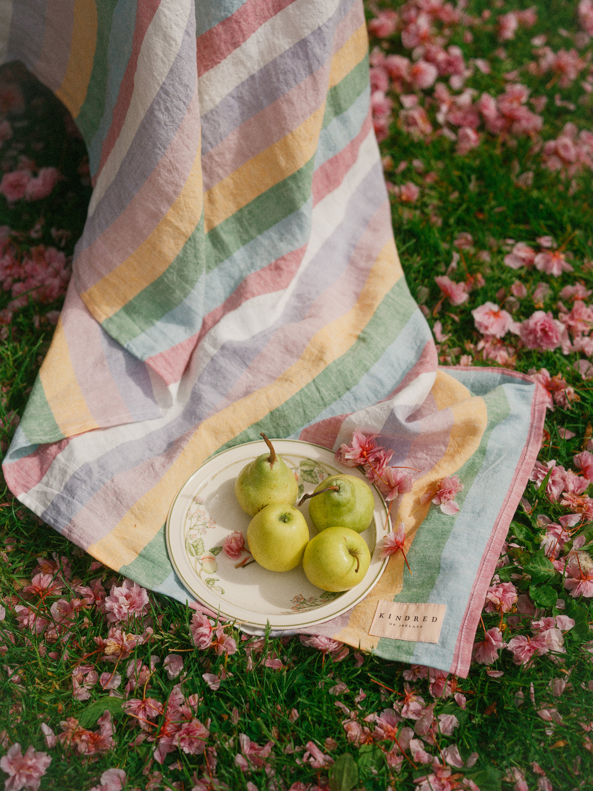 DOVE TABLECLOTH | PICNIC BLANKET
