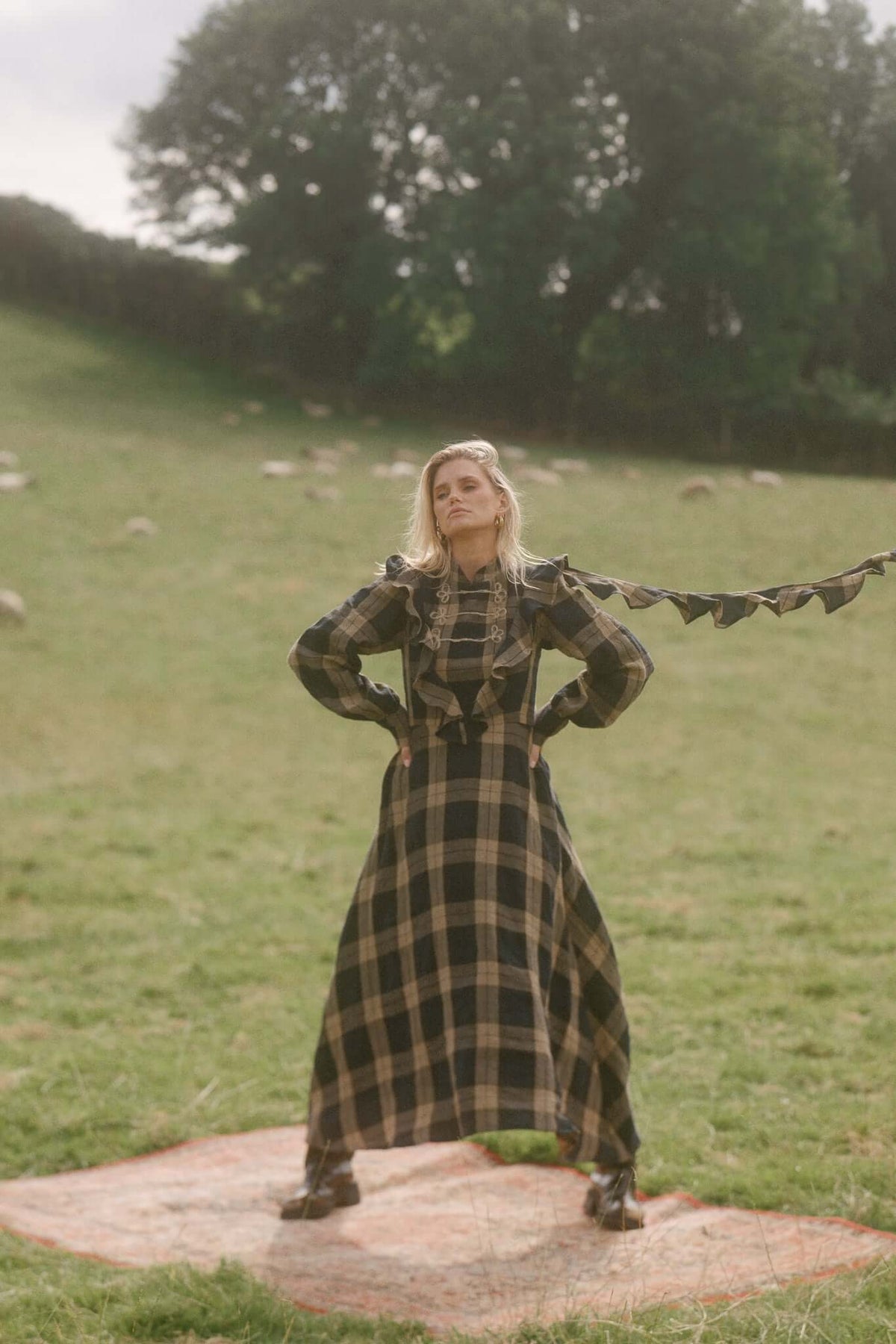 THE ROSE DRESS